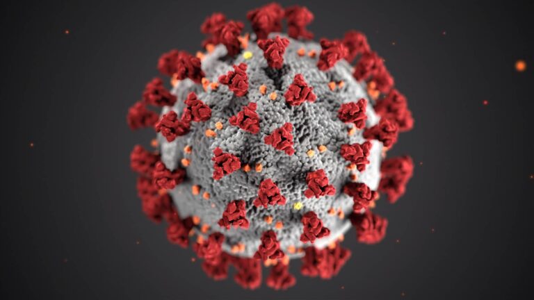 Coronavirus disease (COVID-19) is an infectious disease caused by a new virus.